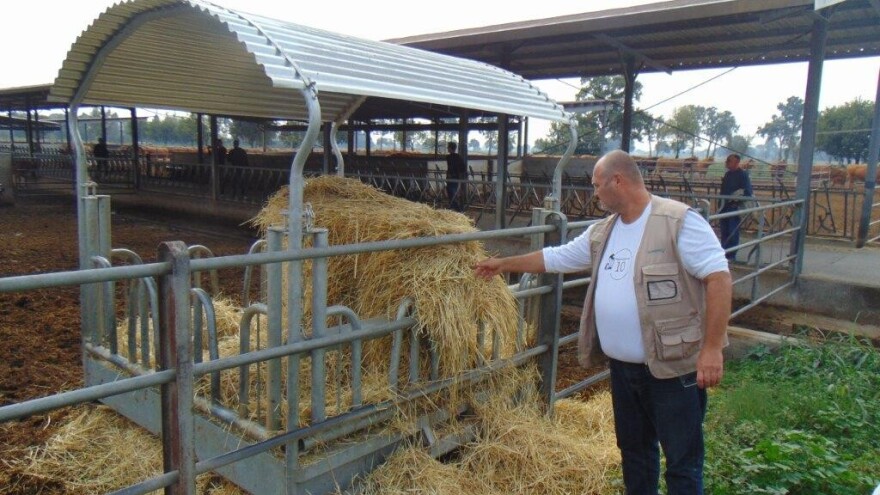Tehnologiju i kvalitetu imamo, rastu i količine, no što je s distribucijom domaćih proizvoda?