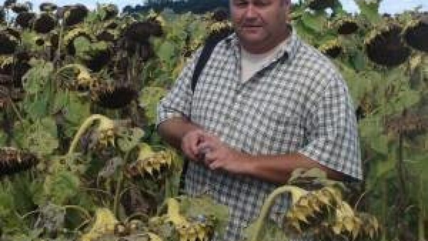 26 tisuća kuna za radnika u poljoprivredi