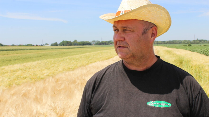 Ovogodišnju žetvu pšenice izgubili smo već u kvalifikacijama, dotuklo nas vrijeme i manjak mehanizacije