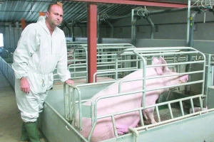 Danas bi nešto mogli naučiti od veterinara i stočara kada se radi o borbi s bolestima