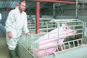 Danas bi nešto mogli naučiti od veterinara i stočara kada se radi o borbi s bolestima