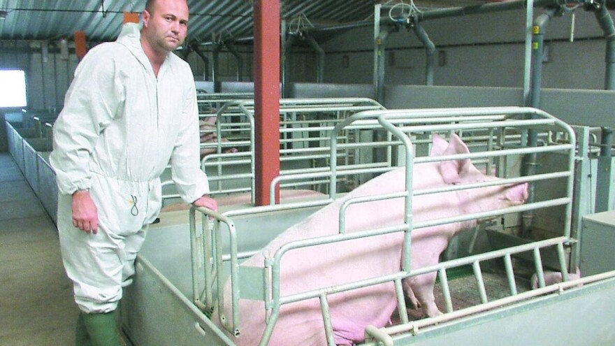 Danas bi nešto mogli naučiti od veterinara i stočara kada se radi o borbi s bolestima