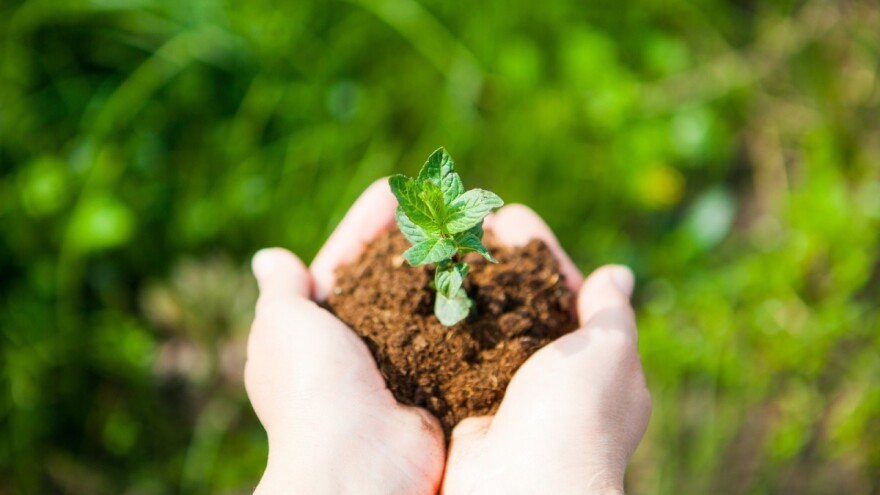 Ruma: 87 miliona dinara za poljoprivredu