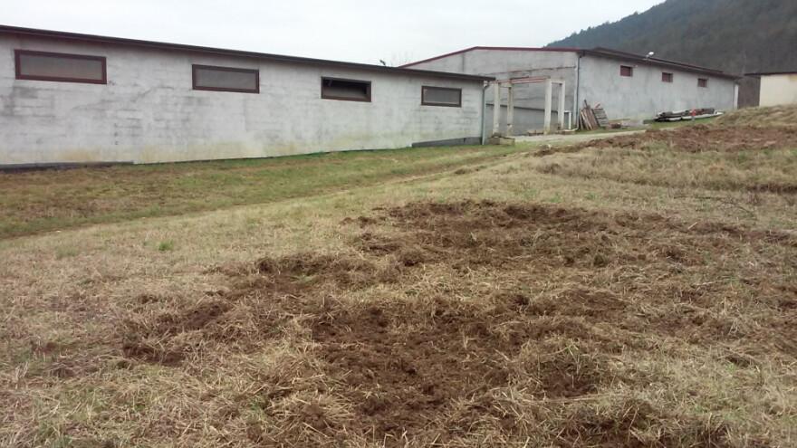 Divlje svinje im uništavaju usjeve i mehanizaciju