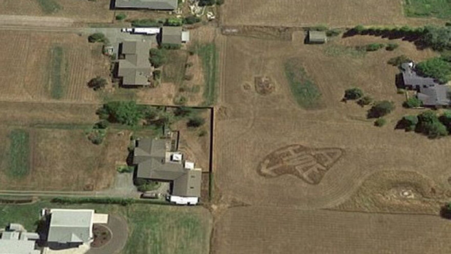 Dragi susjedi, vaša ljubičasta kuća je - rupa