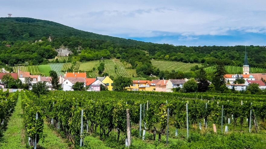 Gubitak Srbije od šest milijardi dolara zbog klime - poljoprivreda najranjivija?