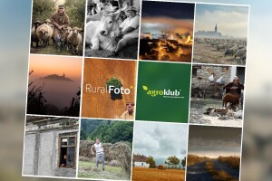 RuralFoto: Evo najboljih 10 fotografija iz kategorije #selo