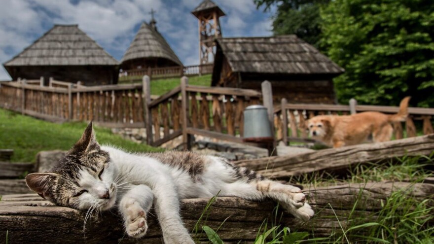 Biramo najbolje ruralne fotografije u 2024. godini - nominujte svoju