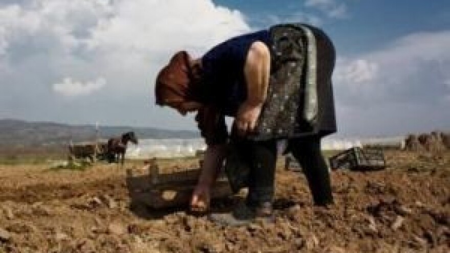 Radionica za ruralne žene