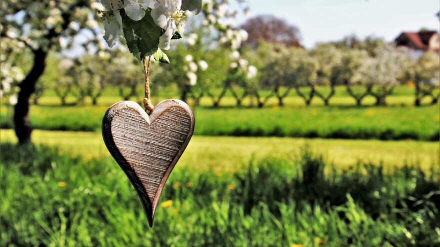 Objavljen je Pravilnik za tip operacije 6.4.1.!