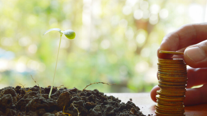 Početkom siječnja natječaj za mjeru 6.2. i operaciju 4.1.1.!