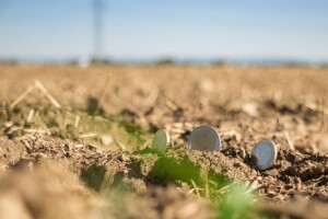 Prijavite se na radionice za tip operacija 6.2.1 i 4.1.1. ruralnog razvoja!