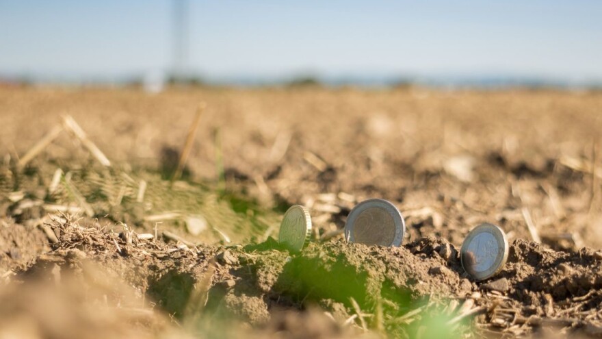 Prijavite se na radionice za tip operacija 6.2.1 i 4.1.1. ruralnog razvoja!