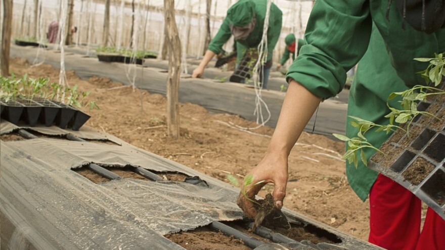 3.226 OPG-a iskoristilo potpore ruralnog razvoja - novostvoreno 1.600 radnih mjesta!