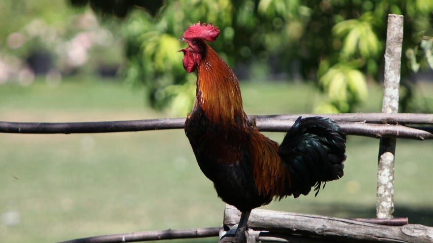 Odobreno 724.140 KM za sufinansiranje projekata ruralnog razvoja