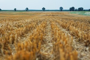 Povući će saglasnost na Strateški plan ruralnog razvoja BiH?