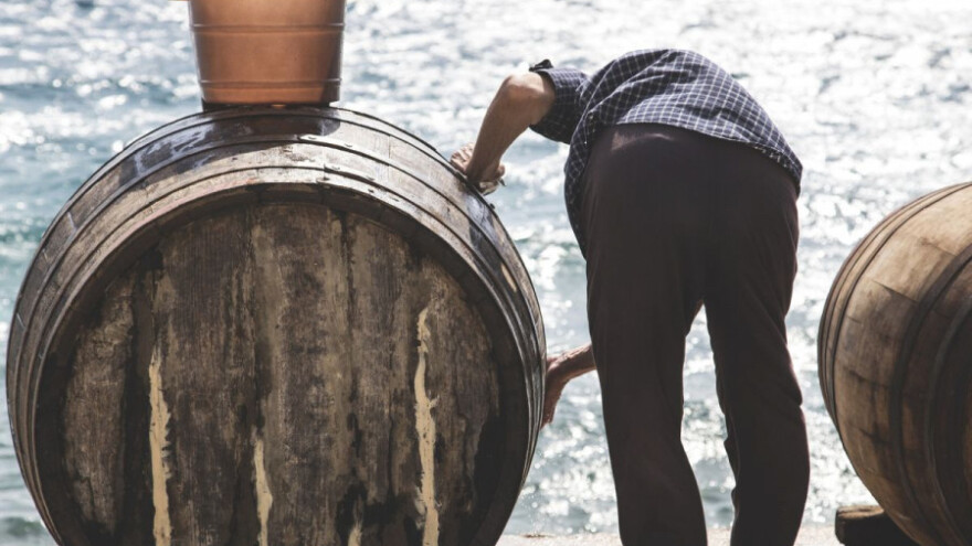 Kakva je budućnost ruralne Hrvatske?