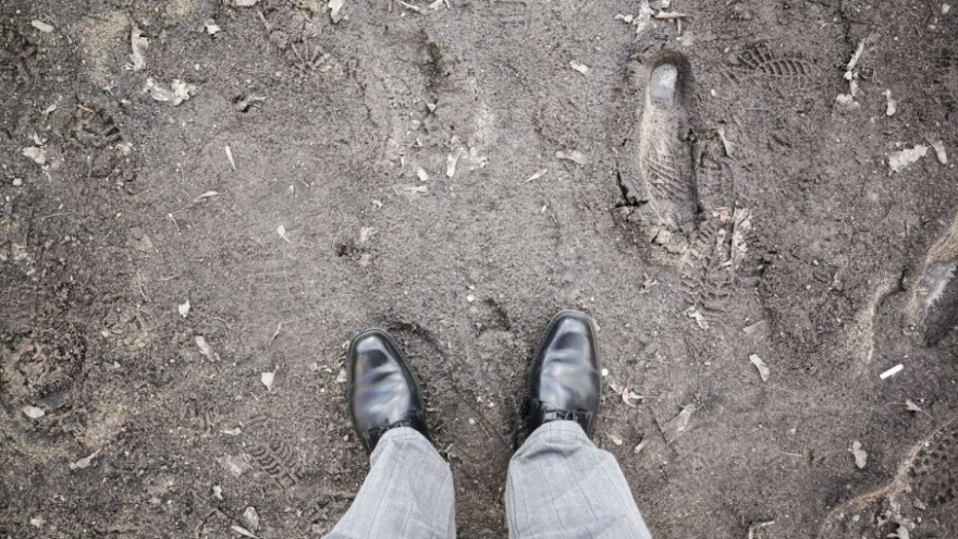 Svakim danom sve manje povjerenja u ruralni razvoj