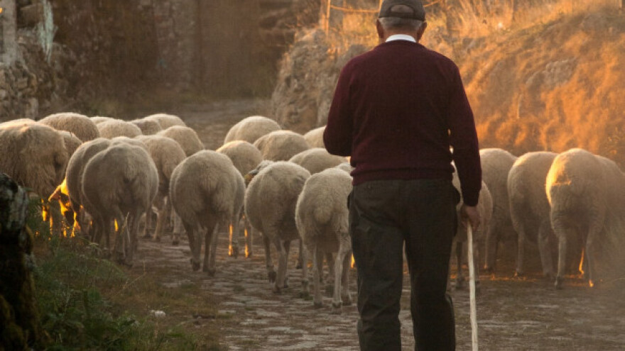 Pomoć za poljoprivredna udruženja i zadruge