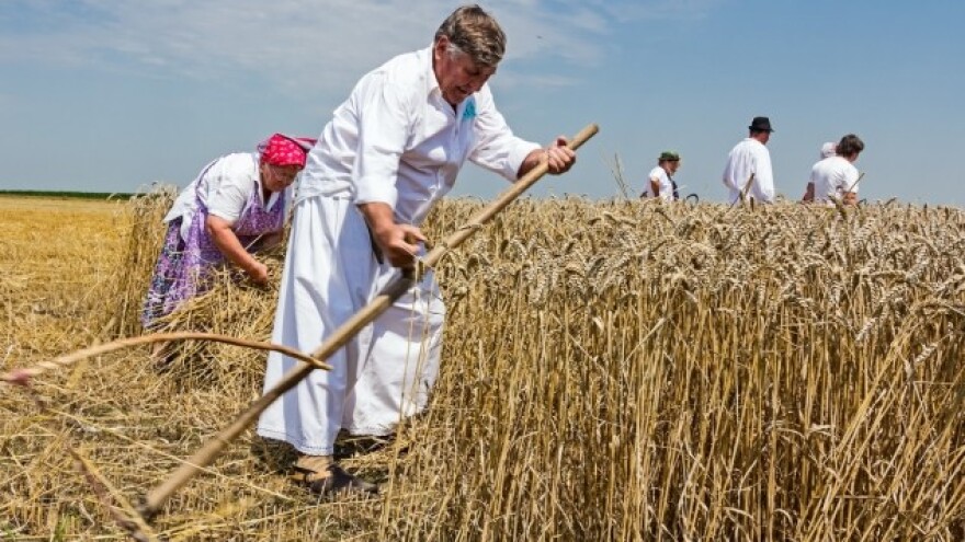 Kako je selo umiralo, Branko ga je vraćao u život!