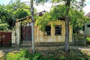 Ne pričamo zbog nasledstva - slučaj u svakoj prosečnoj srpskoj porodici?