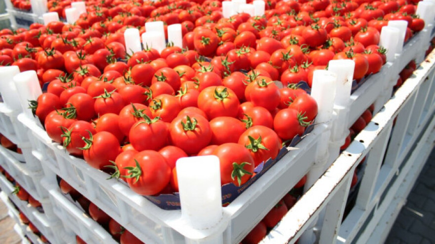 Čeka se dolazak inspektora, izvoza u Rusiju nema