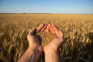 Rusija neće uzgajati GMO proizvode