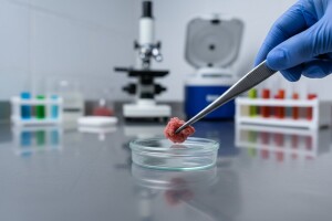 Rusija - otkrivena DNK konja u svinjskom mesu