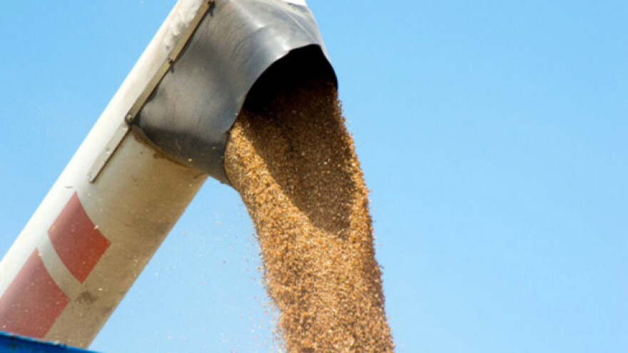 Rusija postala najveći izvoznik pšenice