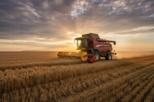 Rusija rekorder u proizvodnji žitarica