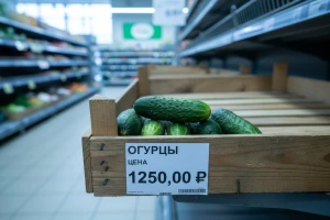 Rusija u potrazi za krastavcima!