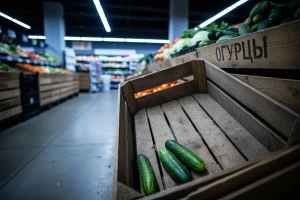 Rusija u potrazi za krastavcima!