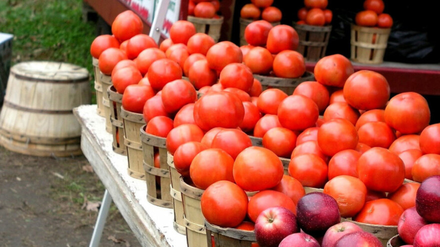 Kamo s voćem ne dozvoli li Rusija uvoz?