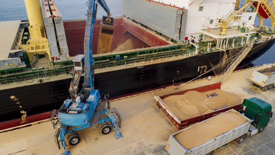 Rekordan izvoz ruskih žitarica - tko najviše kupuje njihovu pšenicu?