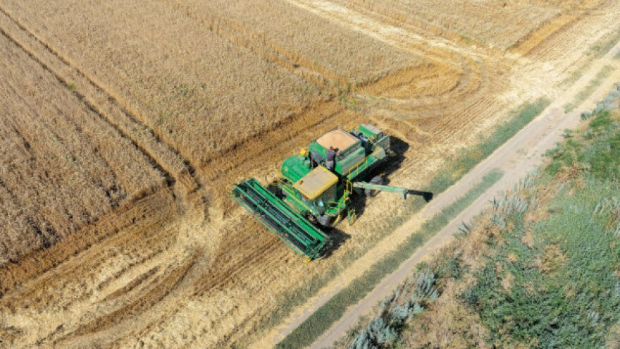 Putin očekuje rekordni prinos žitarica od 130 milijuna tona