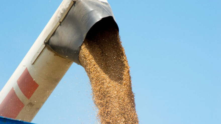 Rusija postala najveći izvoznik pšenice