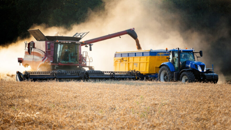 Venezuela uvezla 60.000 tona ruske pšenice