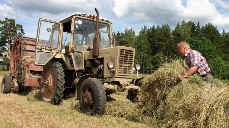 Za 7 godina Rusija će proizvesti dovoljno za sebe?
