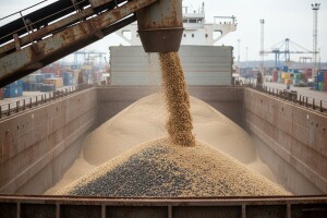 Ruski izvoz suncokreta na izuzetno niskom nivou