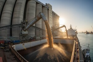 Ruski izvoz suncokreta na izuzetno niskom nivou