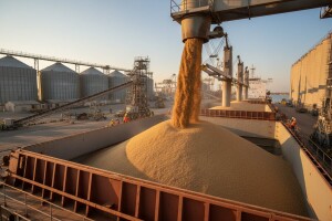 Ruski izvoz žitarica blizu rekordnih 50 miliona tona