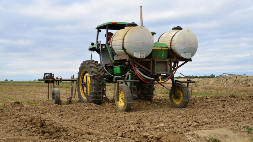 Traže se voditelji na farmi ruža u Tanzaniji