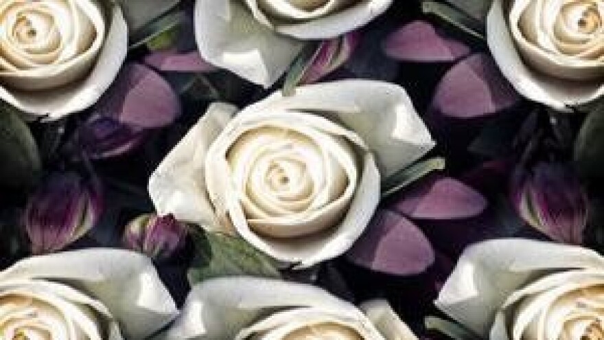 Ne cvjetaju nam ruže - posebno ne iz eko uzgoja