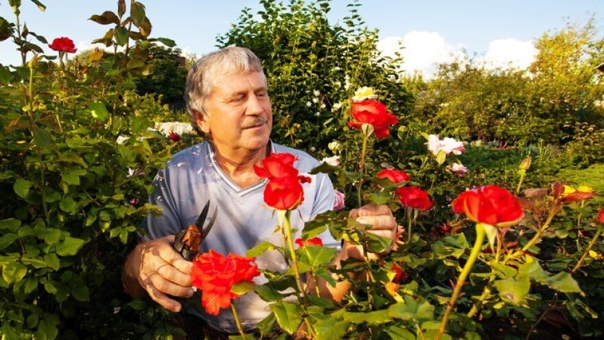 Spasili farmu - ali i osjetljivu društvenu skupinu!