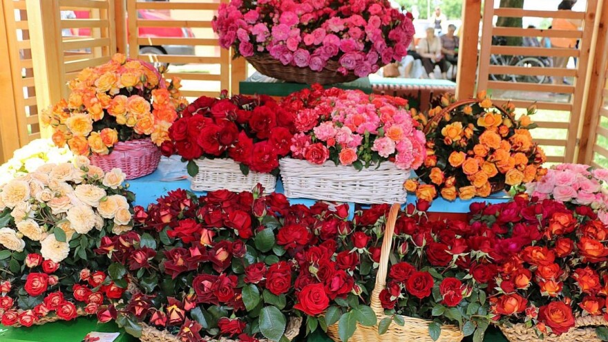 Lipolist - selo od milion ruža