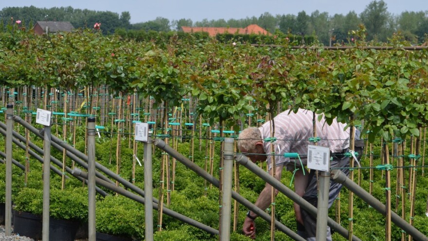 Korisnik ste programa potpore u sektoru biljne proizvodnje? Ovo su vaše obveze