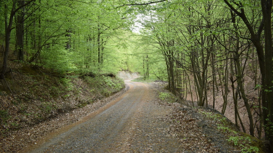 Uloženo više od 3,3 milijuna eura za održavanje šumskih cesta