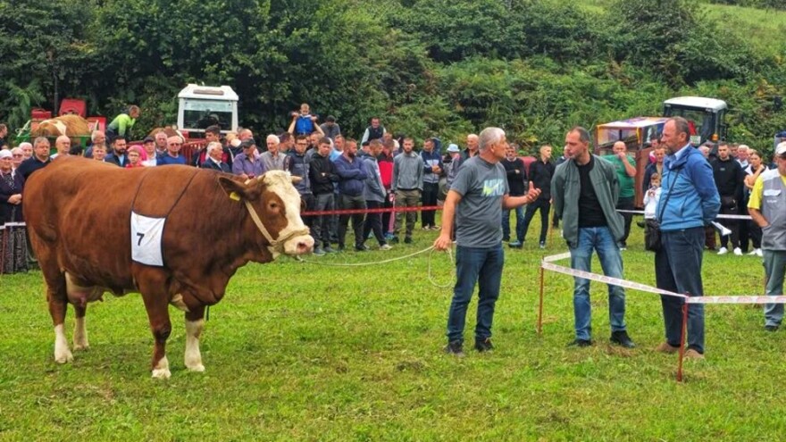 Kladuški poljoprivrednici pokazali svoja najbolja grla: Ovo su šampioni