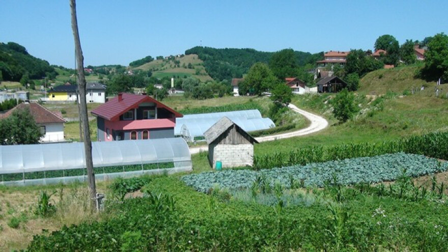 Sadikovići godišnje proizvedu deset tona povrća