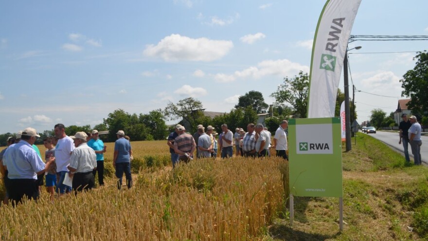 RWA dokazala da ima sorte koje prkose olujama: Athlon, Graindor, Sofru, Izalco CS, ali i Tenor te RGT Viriato